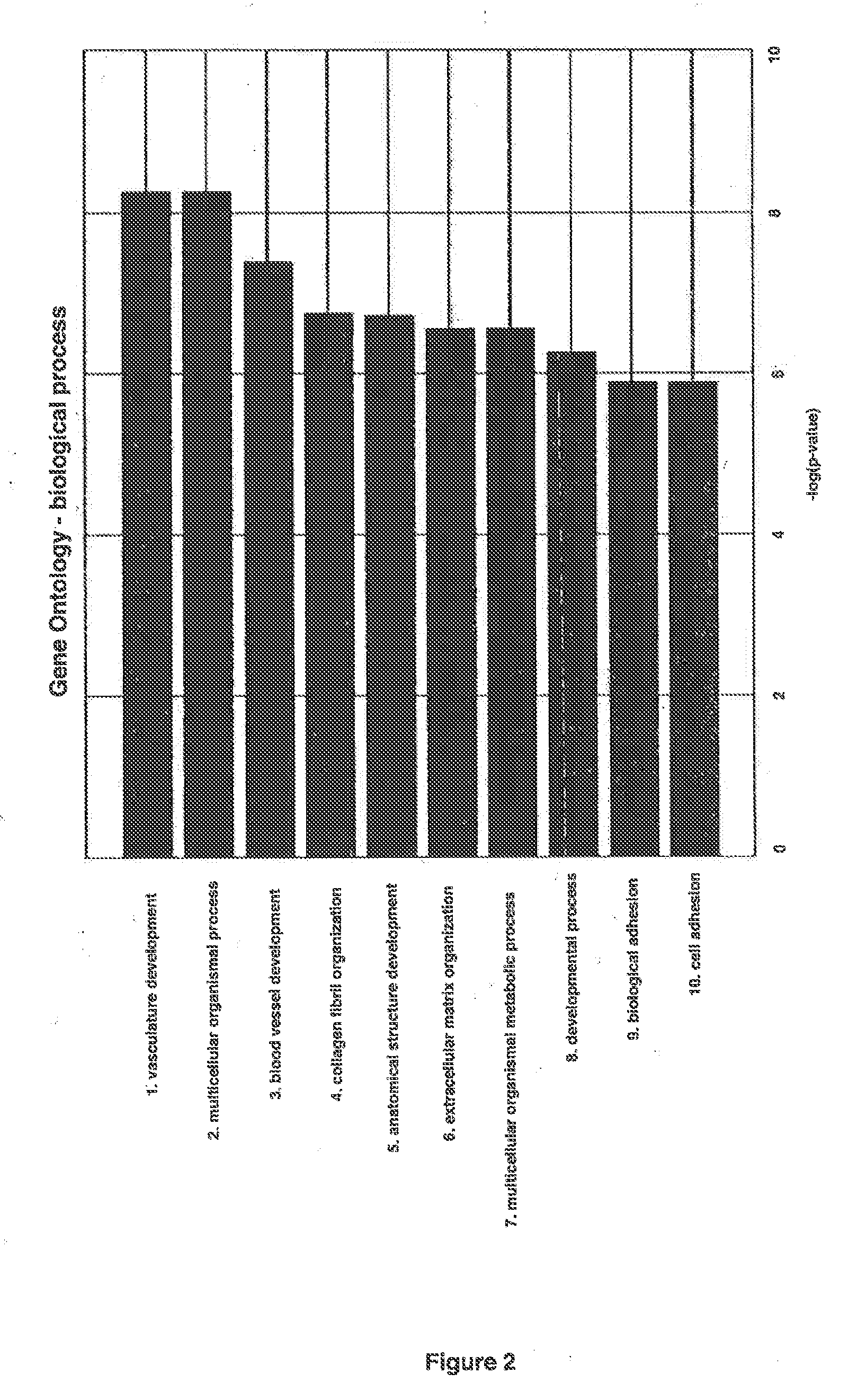 Molecular diagnostic test for cancer