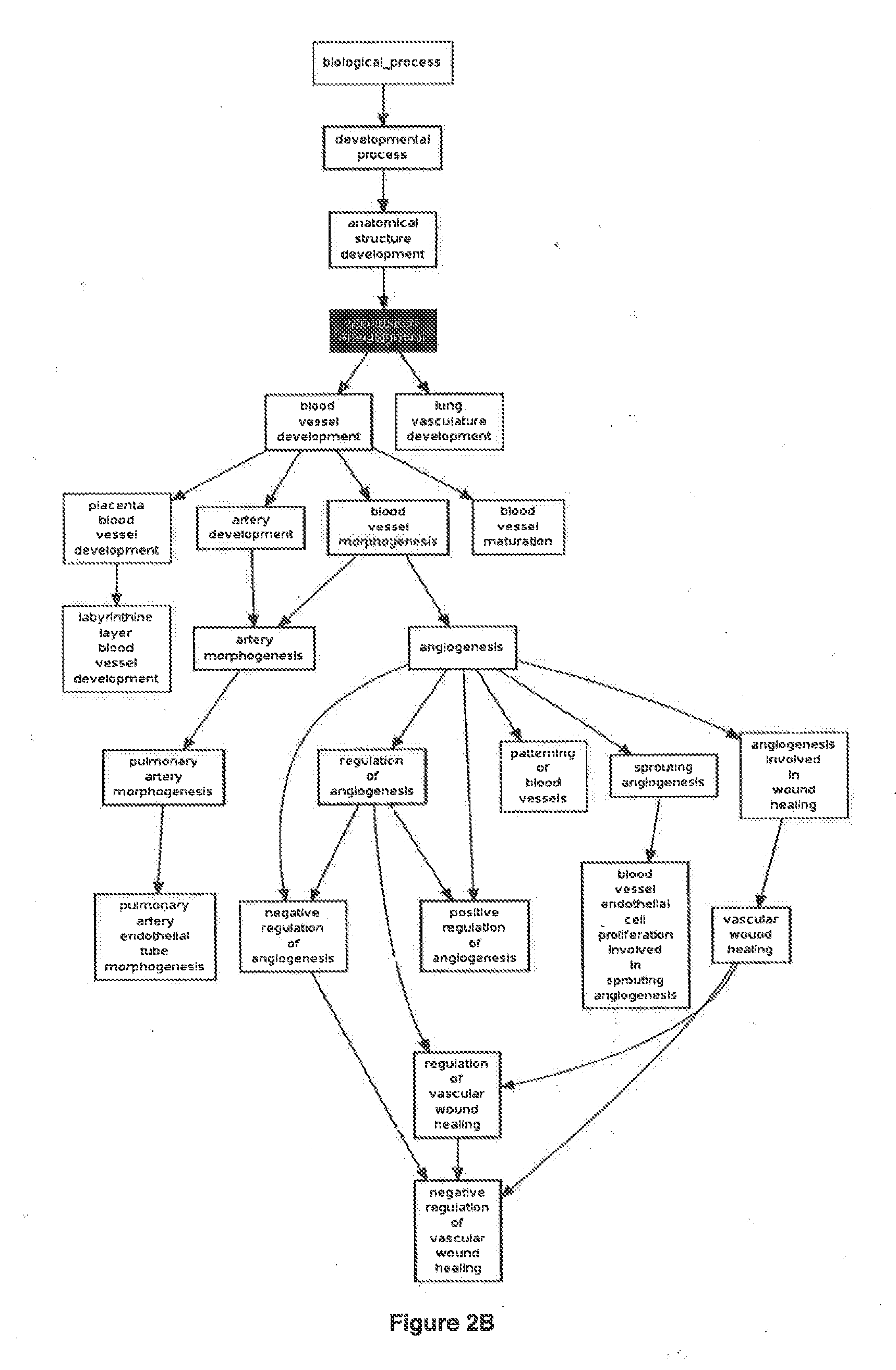 Molecular diagnostic test for cancer