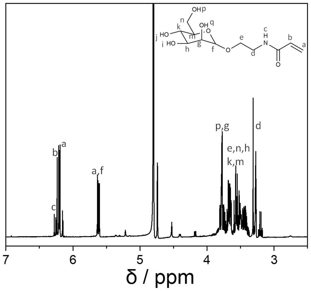 Preparation method of canavaline polymer hydrogel, prepared hydrogel and application thereof