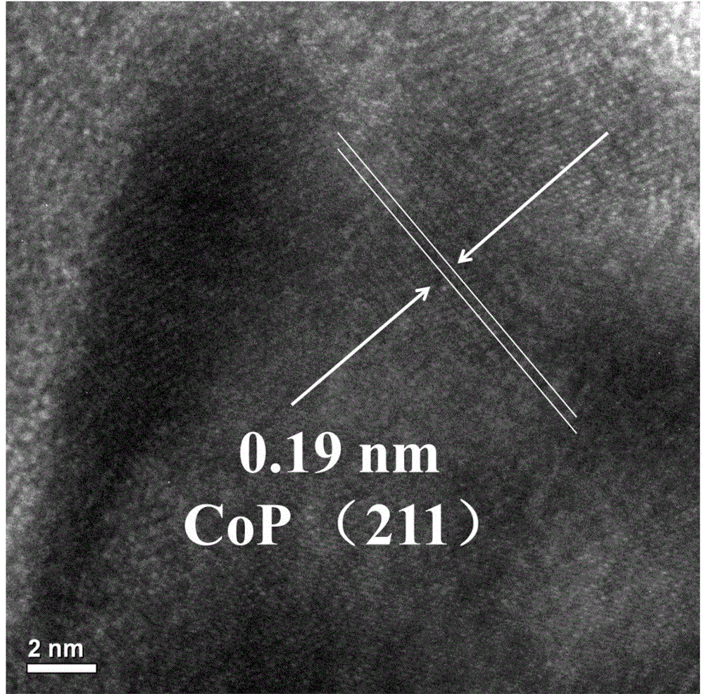 Preparation method of transition metal phosphide with good morphology