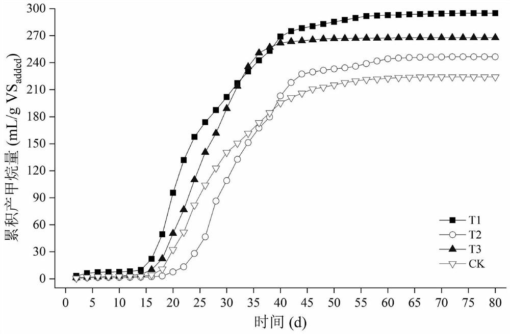 Method for promoting anaerobic digestion by using carbonyl iron