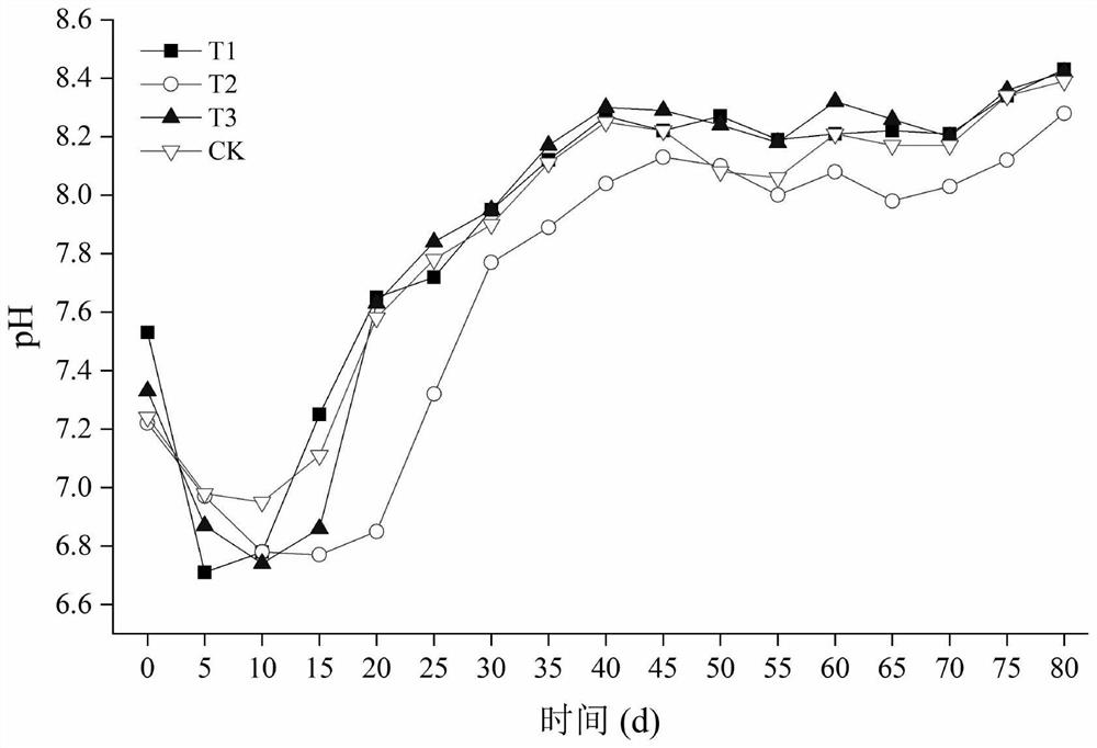 Method for promoting anaerobic digestion by using carbonyl iron