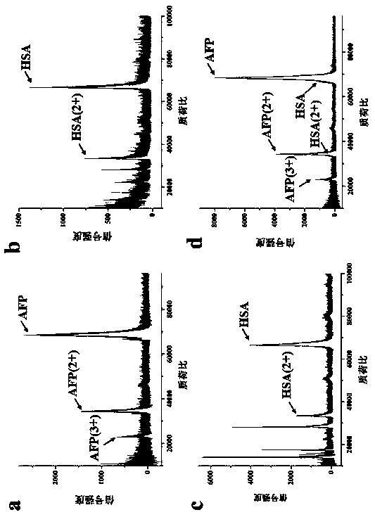 Preparation of molecular imprinting sensor for AFP online detection in human serum