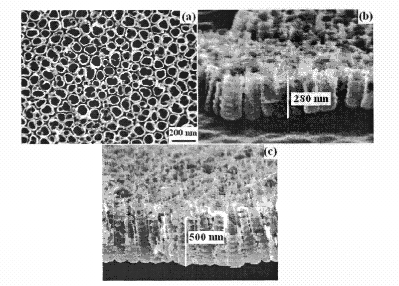 Method for degrading organic substances by using photoelectric catalysis of short TiO2 nano-tube array film electrode