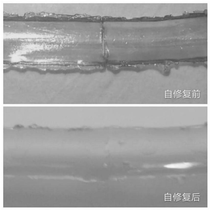 Imidazole polyion liquid electrolyte and preparation method and application thereof