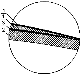 A kind of contact lens for color blindness and color weakness correction and its manufacturing method