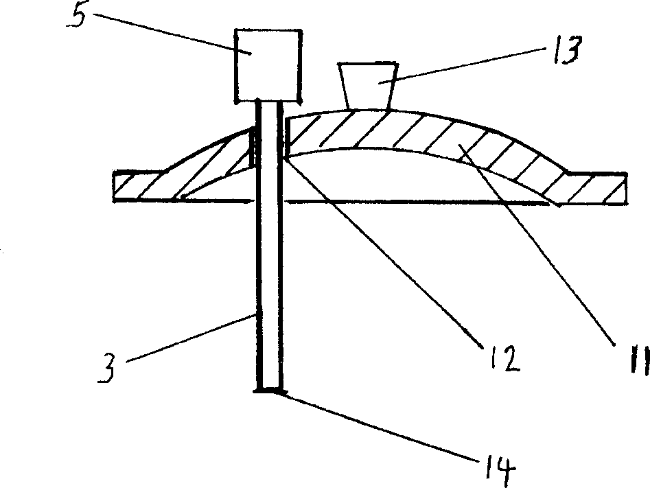 Electric cooker with electronic salinity measuring and displaying device