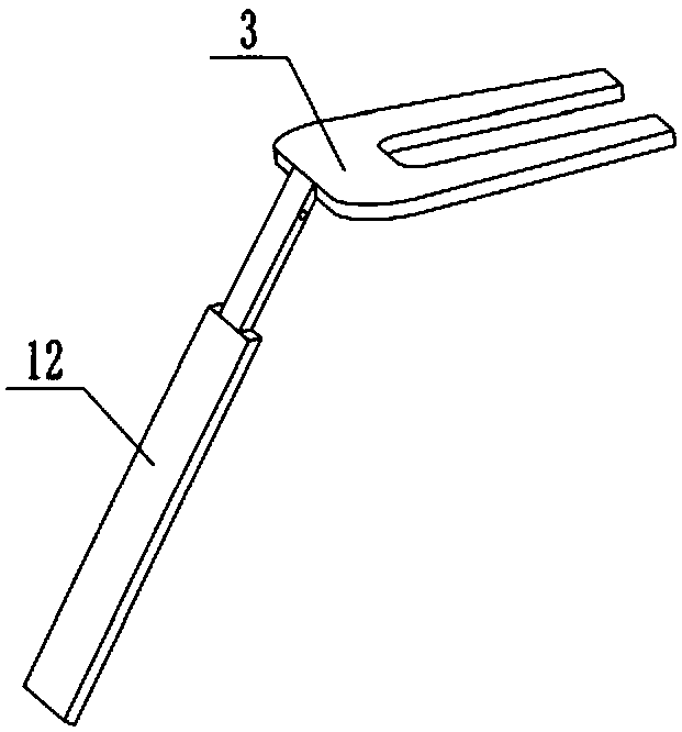 Handheld carpet stain remover