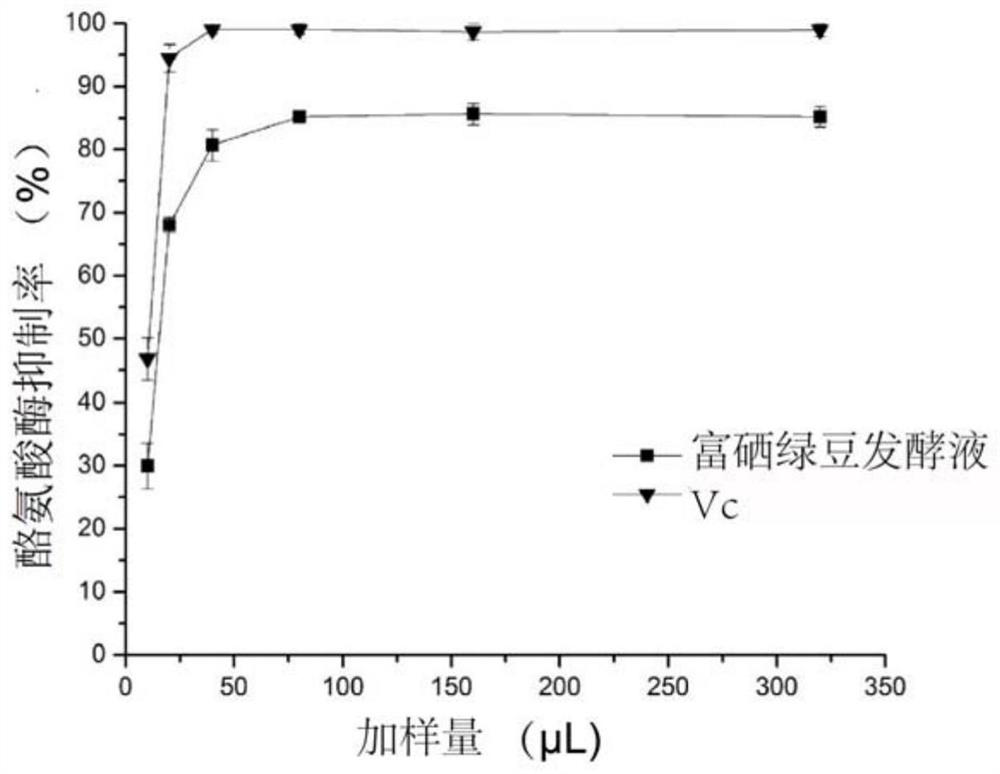 A selenium-enriched mung bean fermented liquid with whitening, anti-aging, moisturizing and detoxifying effects and its facial mask composition