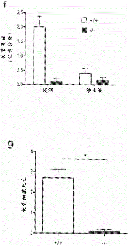 Biological materials and therapeutic uses thereof