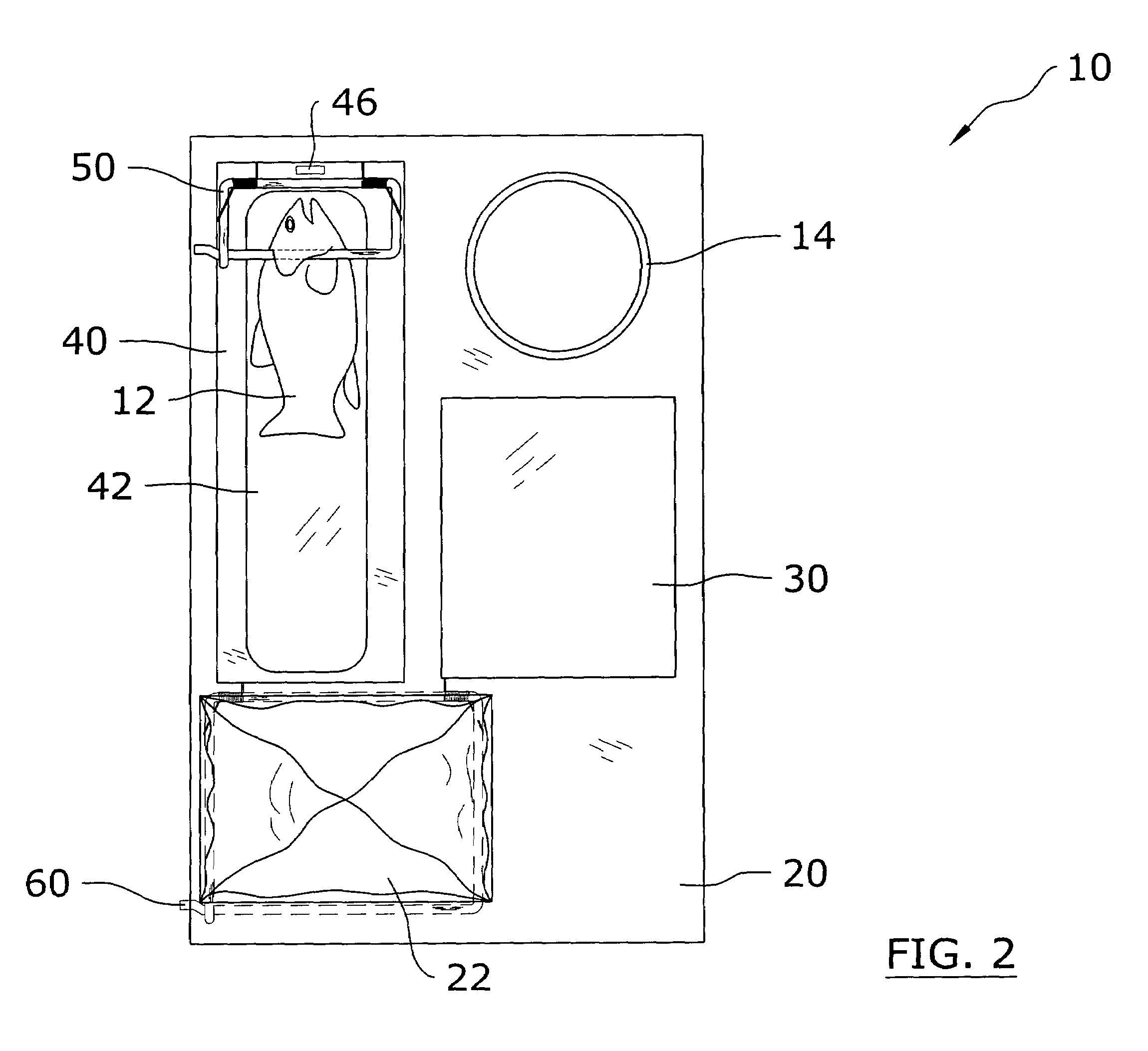 Fish cleaning system