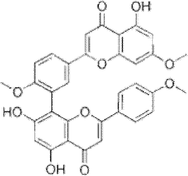 Application of Jinpine Biflavone in the Preparation of Drugs and Foods for Preventing and Treating Osteoporosis