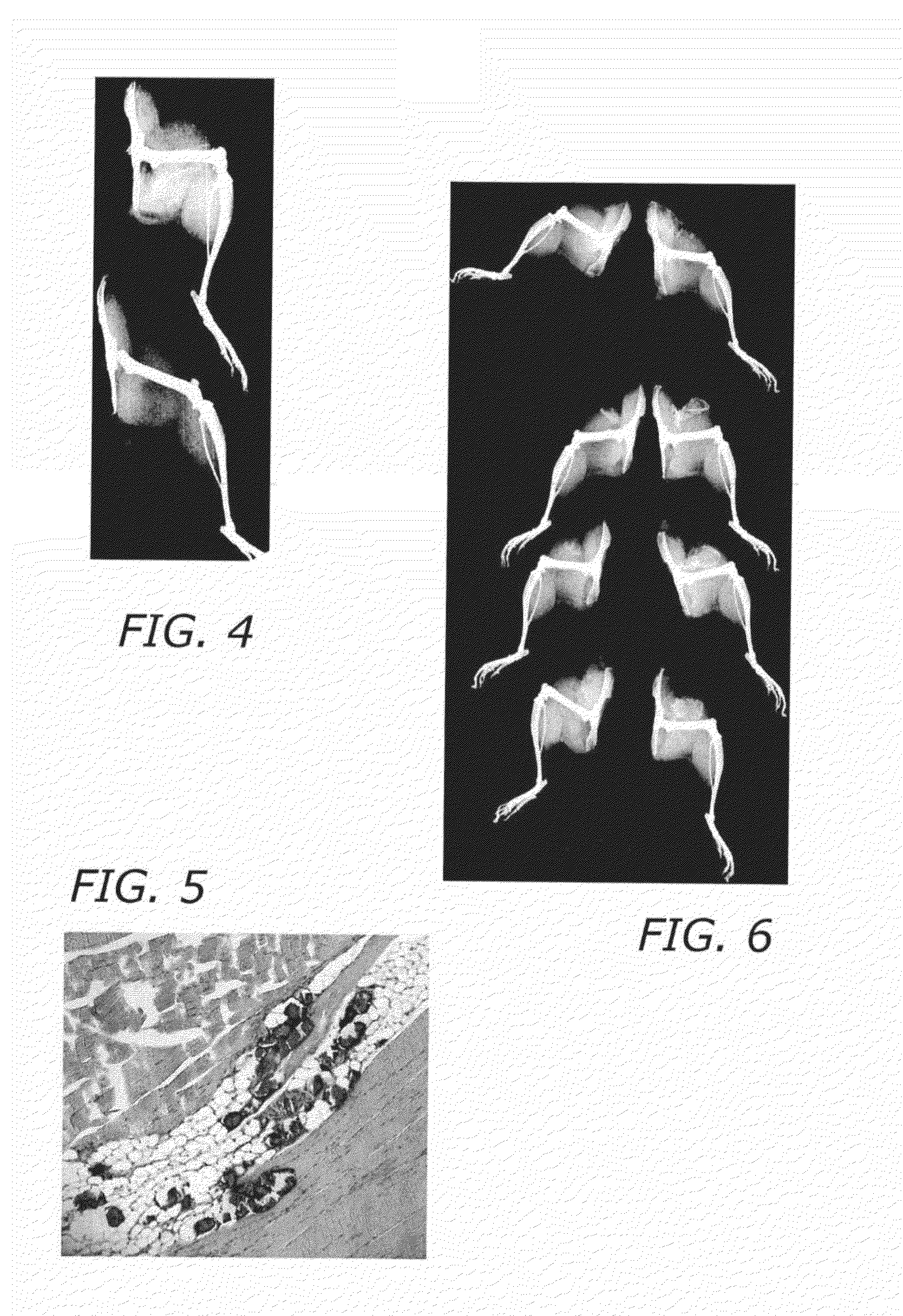 Surgical applications for bmp binding protein