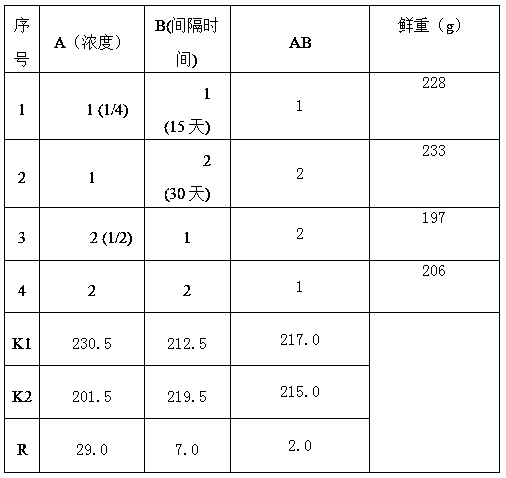 Method for cultivating dendrobium officinale under forest