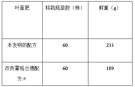 Method for cultivating dendrobium officinale under forest