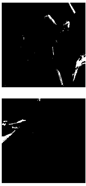 Magnetic resonance image denoising method based on improved multi-path matching pursuit algorithm