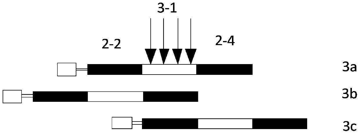 In-orbit on-satellite Infrared radiation calibration system of multi-light integrated large-aperture space camera