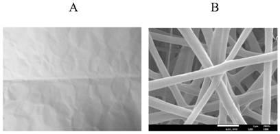 Preparation method of nerve conduit material based on polyhydroxyalkanoate/gelatin electrospun nanofibers