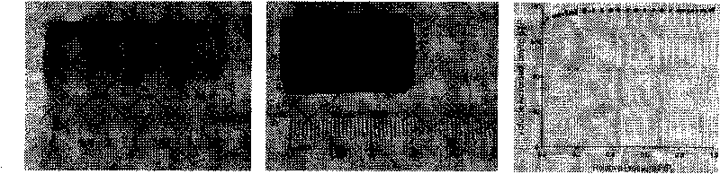 Method for quickly synthesizing block graded pore structural nitrogenous porous carbon