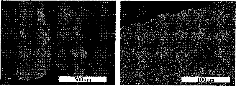 Method for quickly synthesizing block graded pore structural nitrogenous porous carbon