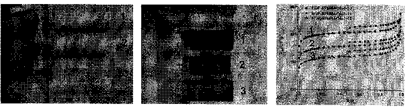 Method for quickly synthesizing block graded pore structural nitrogenous porous carbon