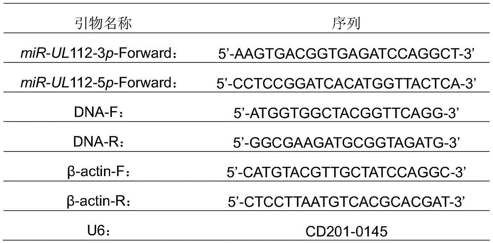 hcmv infection diagnostic reagent