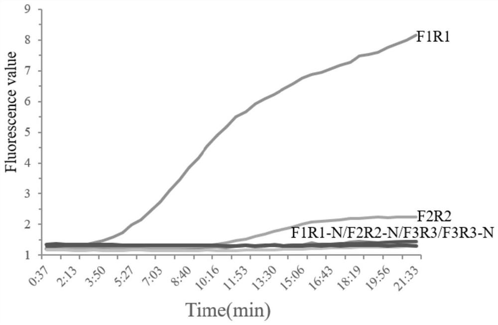 RPA primer, probe, kit and method for detecting enterocytozoon hepatopenaei