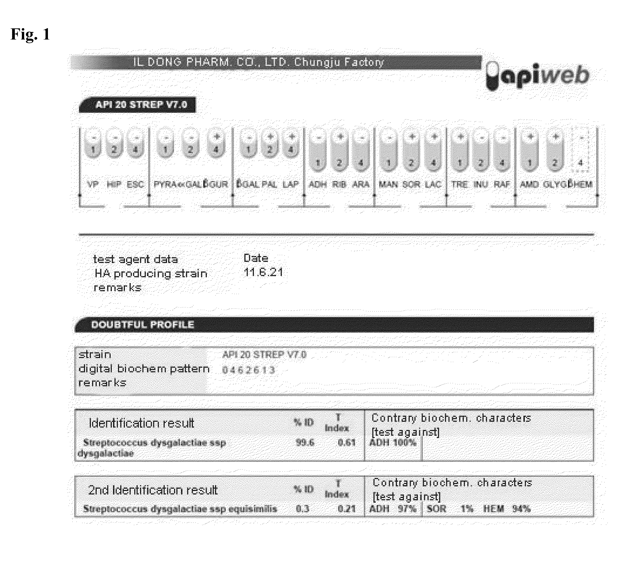 Streptococcus dysgalactiae id9103 and method for production of hyaluronic acid using the same