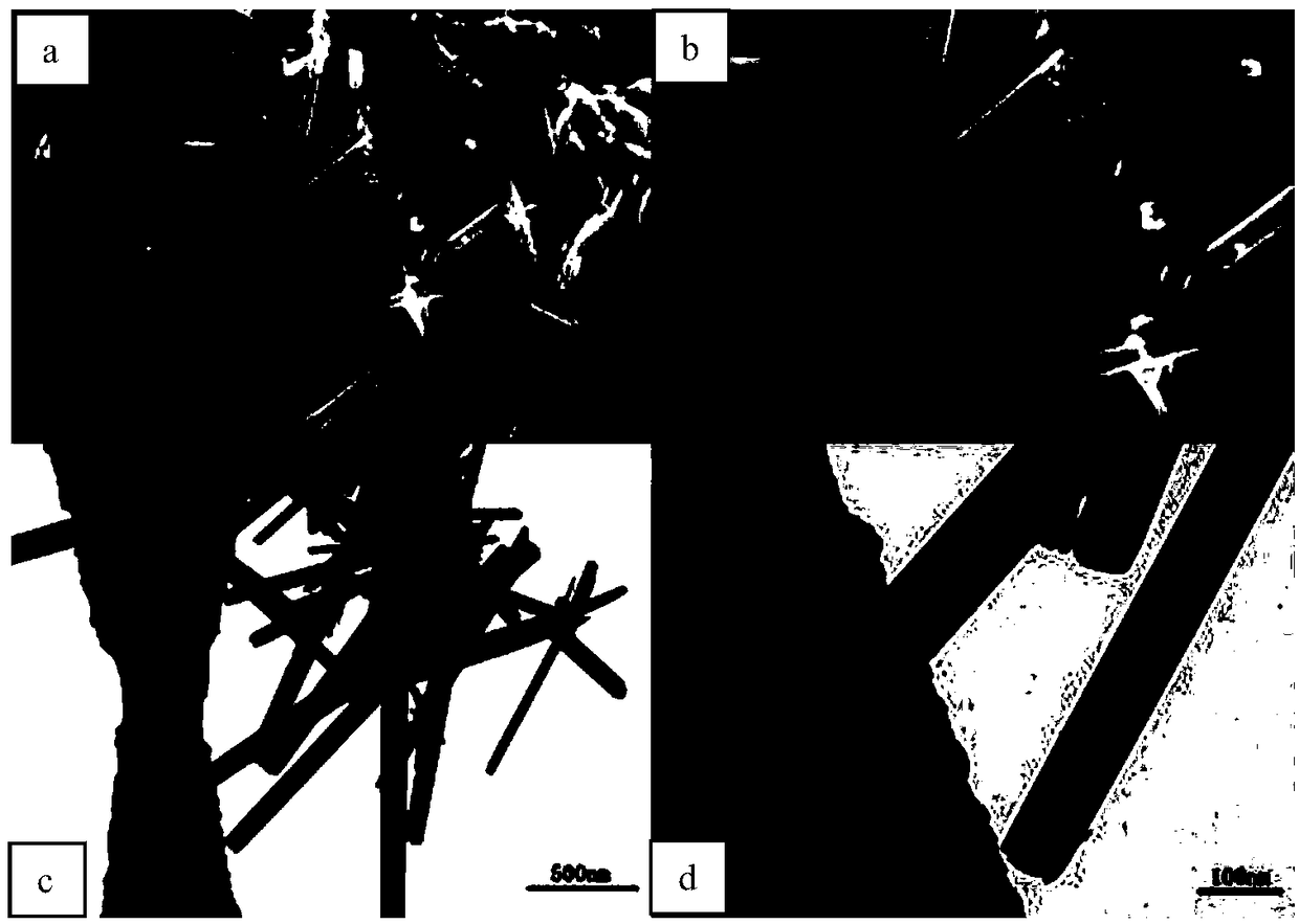 Alpha-manganese dioxide nanotube, silver nanoparticle loaded alpha-manganese dioxide nanotube, and preparation method and application thereof