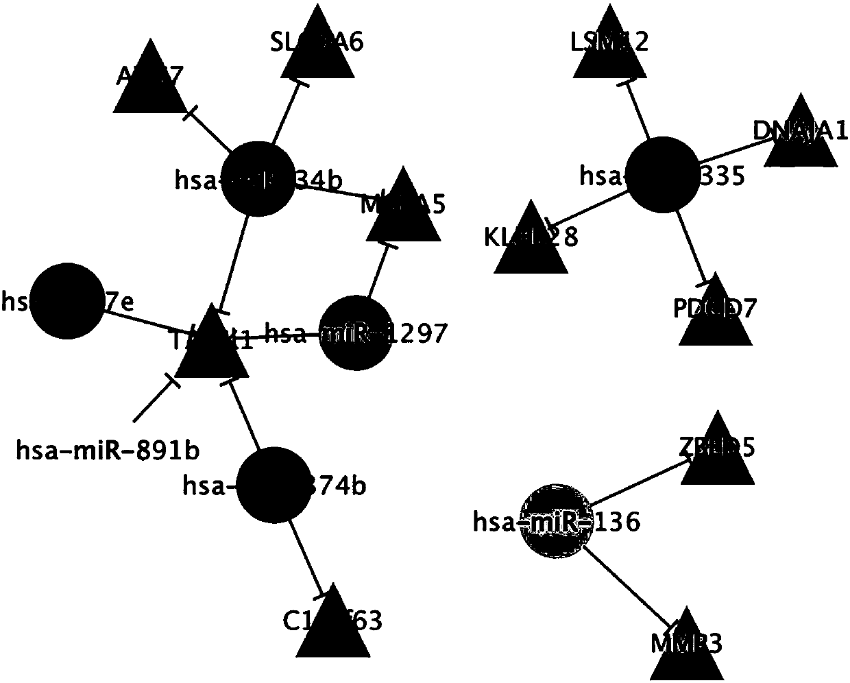 Biological marker of epithelial ovarian cancer and application of biological marker