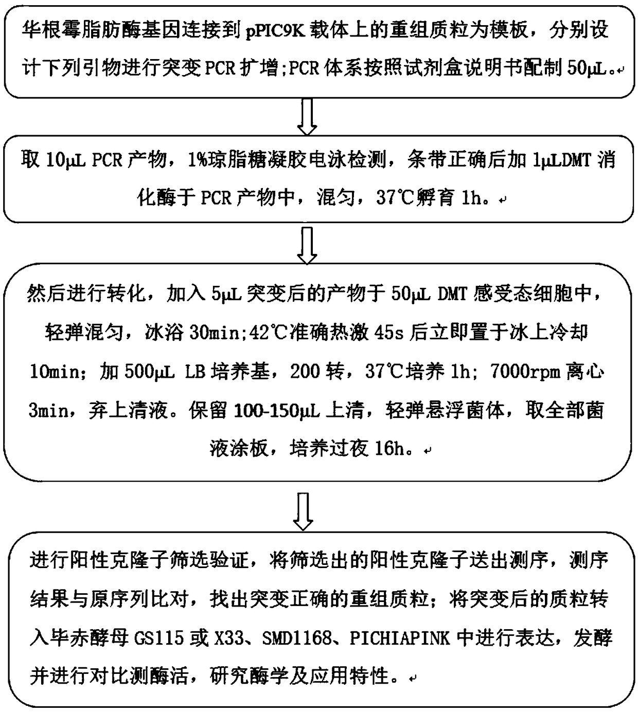 Lipase mutant with improved thermal stability and application of lipase mutant