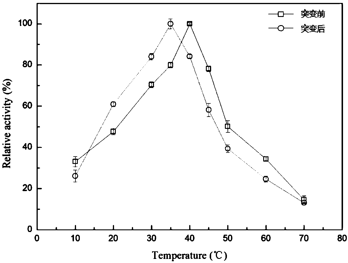 Lipase mutant with improved thermal stability and application of lipase mutant