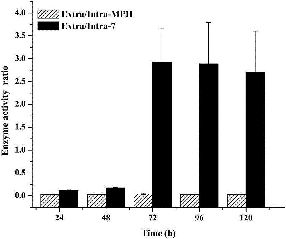 Parathion-methyl degradation enzyme mutant as well as encoding gene and application thereof