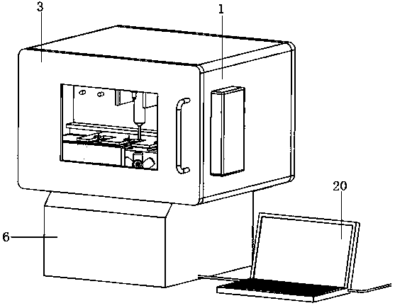 System for identifying cancer stem cells and detecting drug sensitivity and detection method thereof