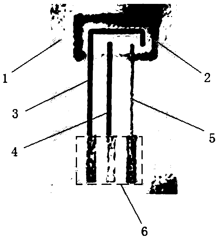 Construction method of nanocellulose paper-based biosensor