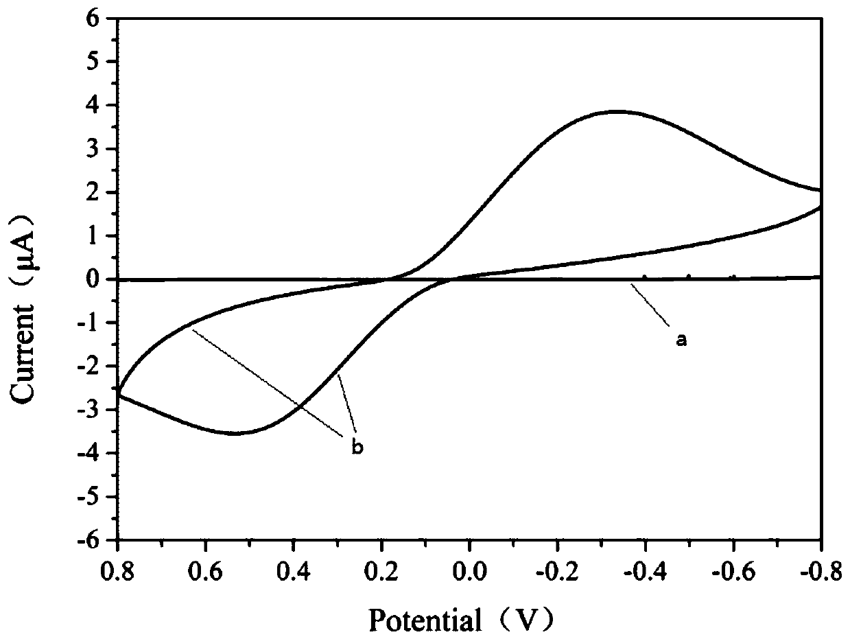 Construction method of nanocellulose paper-based biosensor