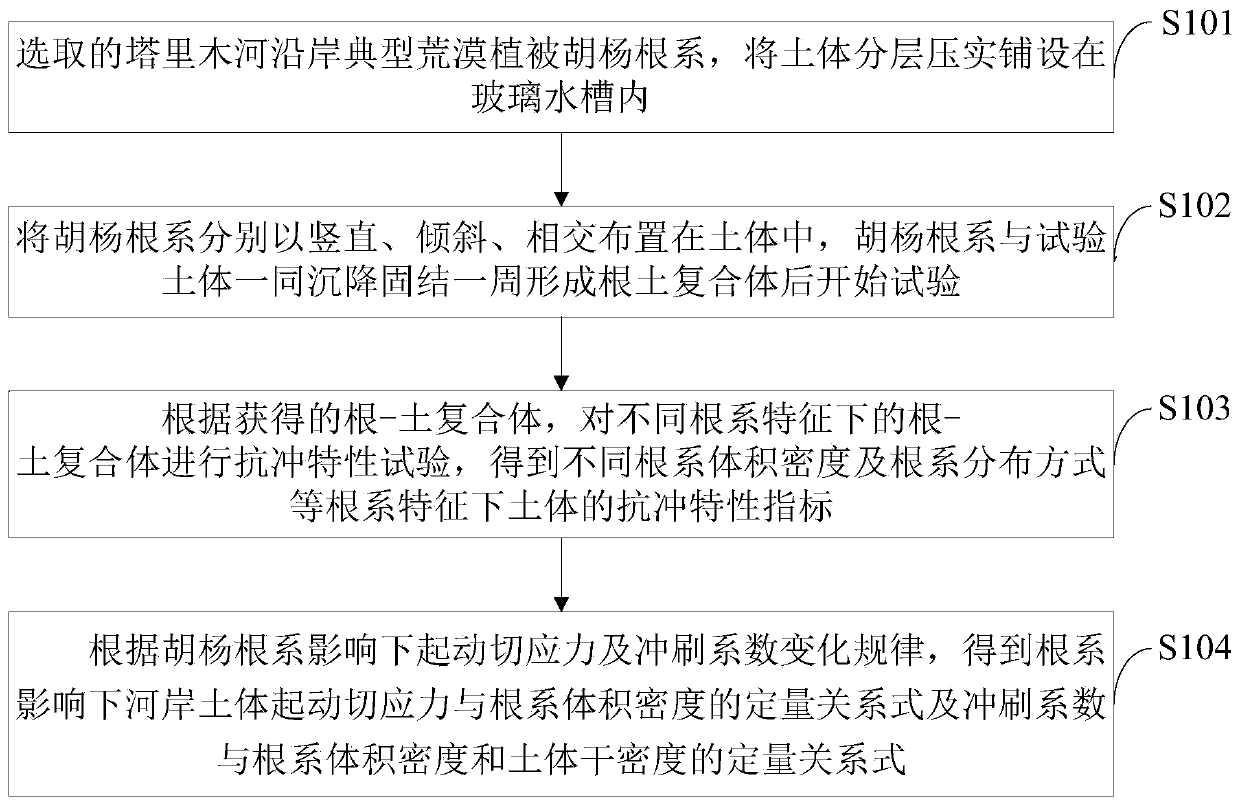 Method for preventing water and soil loss through influence of populus euphratica root system on riverbank soil body lateral scouring