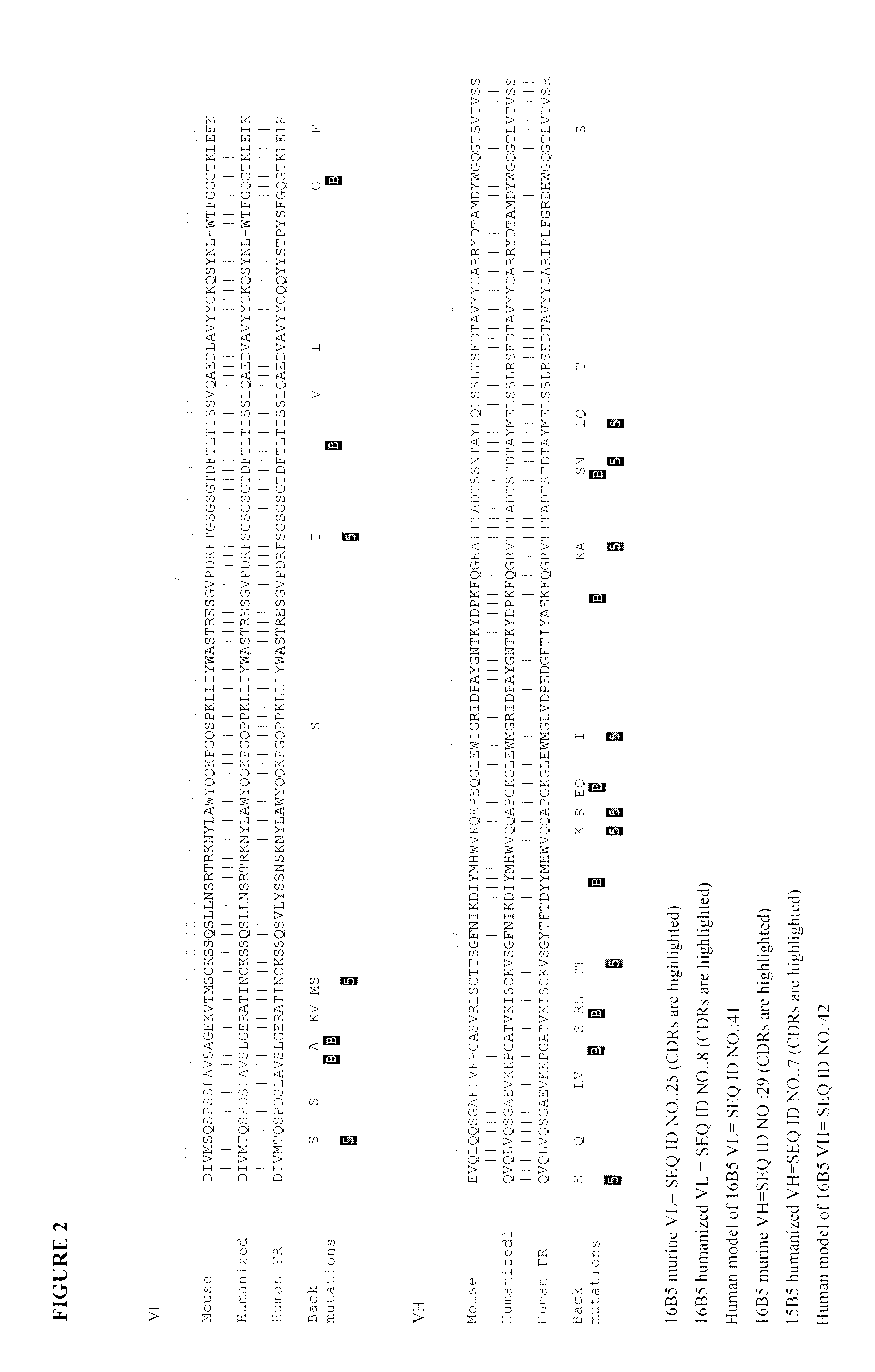 Anti-clusterin antibodies and antigen binding fragments and their use to reduce tumor volume