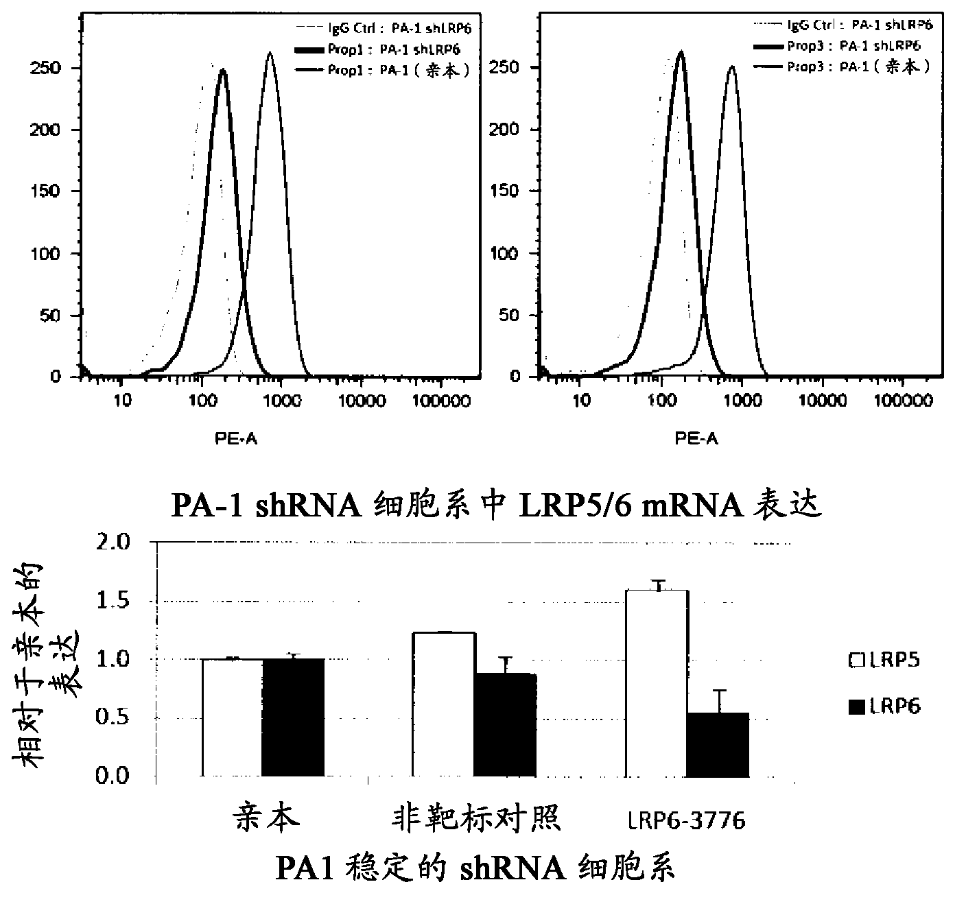 Compositions and methods of use for therapeutic low density lipoprotein-related protein 6 (LPR6) multivalent antibodies