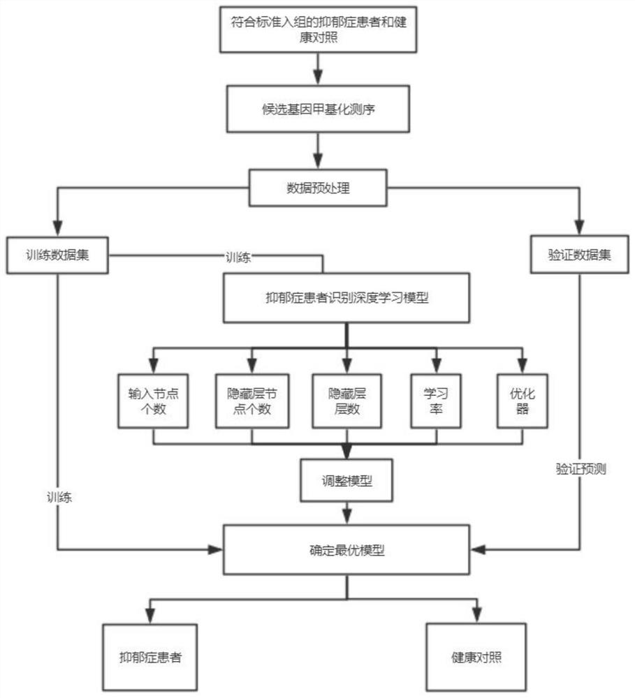 Depression patient identification system and identification method thereof