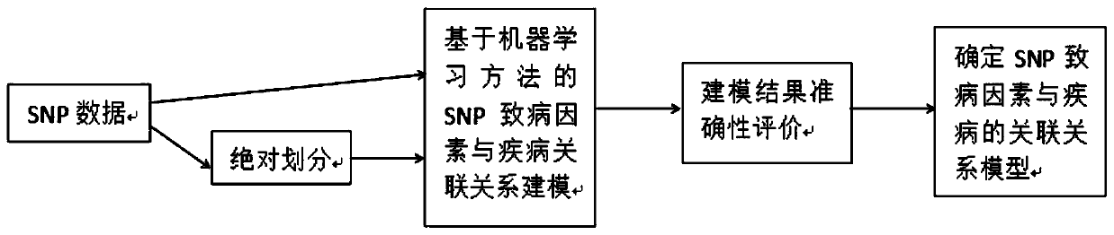 Construction method of models of association relationships of SNP pathogenic factors and disease