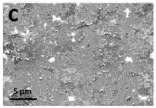 Preparation method for interface self-assembly sulfonation graphene film