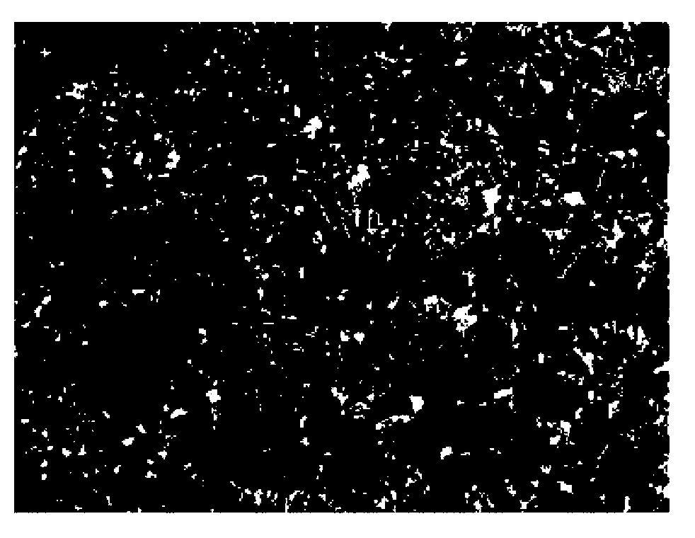 Photoresponsive liquid crystal compound and use thereof