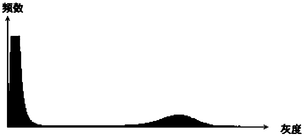 Method for distinguishing medicinal plants based on image identification of random distribution of identification fibers