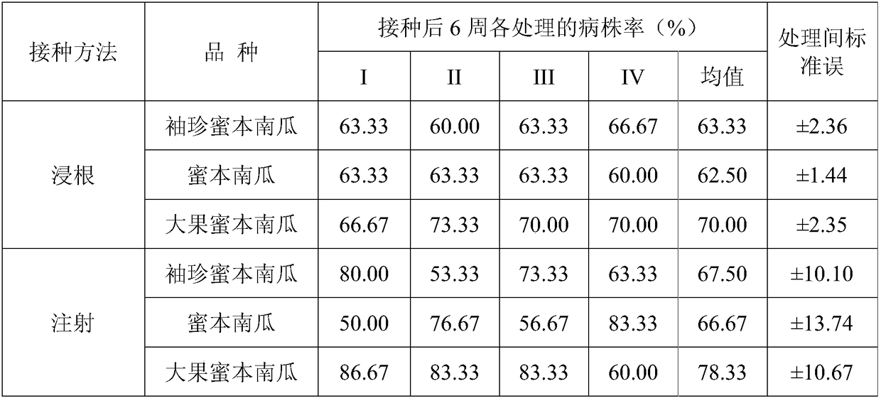 Method for identifying pumpkin bacterial wilt resistant varieties in greenhouse seedling stage