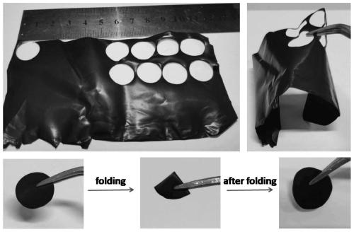 Preparation of flexible electrode-electrolyte integrated all-solid-state lithium-sulfur battery