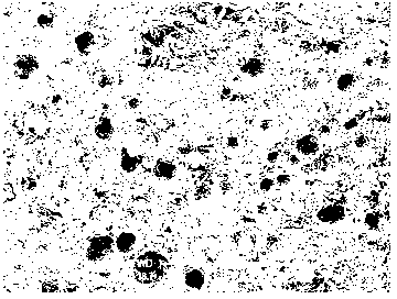 Corundum spinel castable with micro-nano pore structure and preparation method of corundum spinel castable