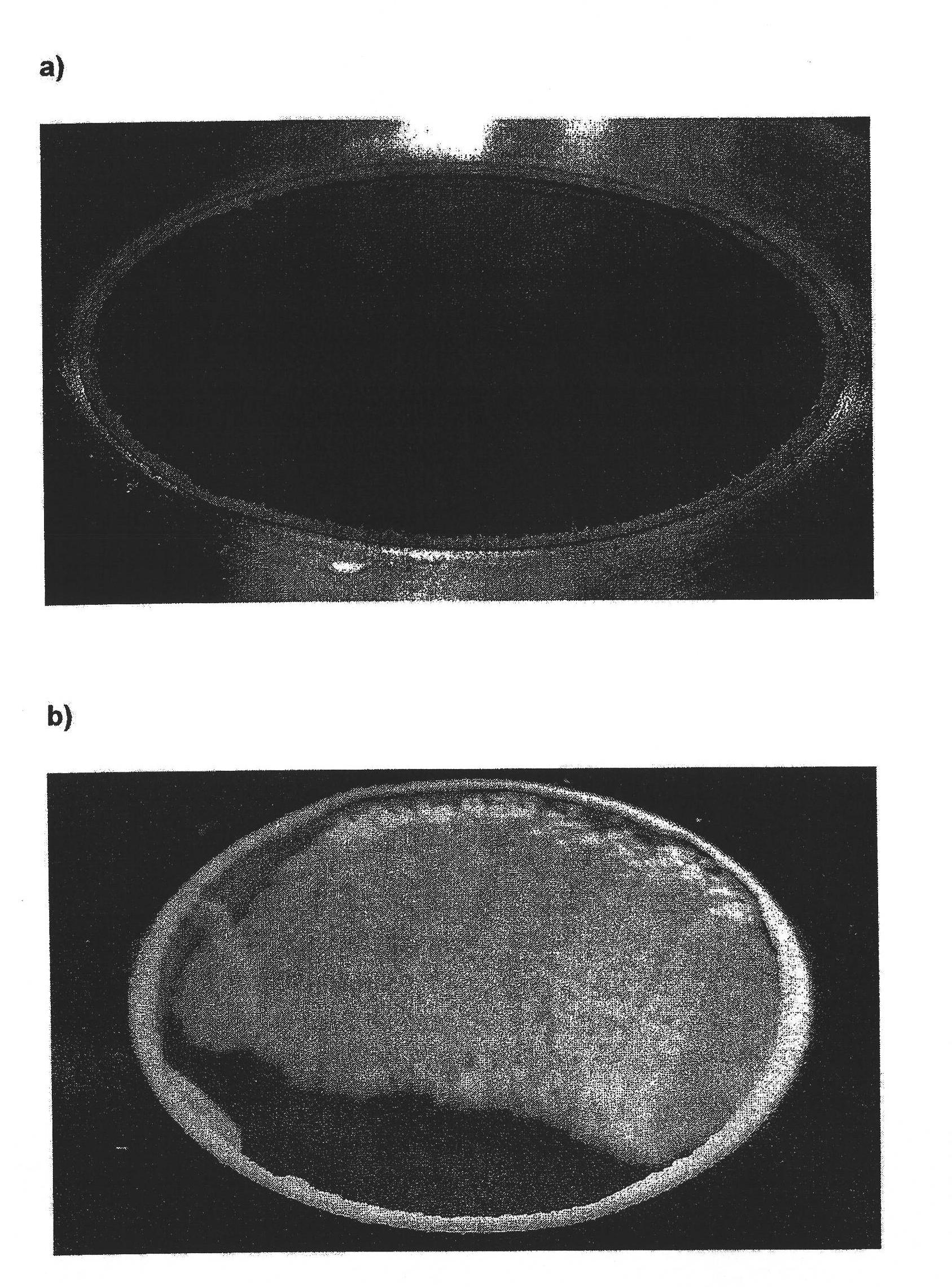 Organic electroluminescent device comprising triazine derivatives