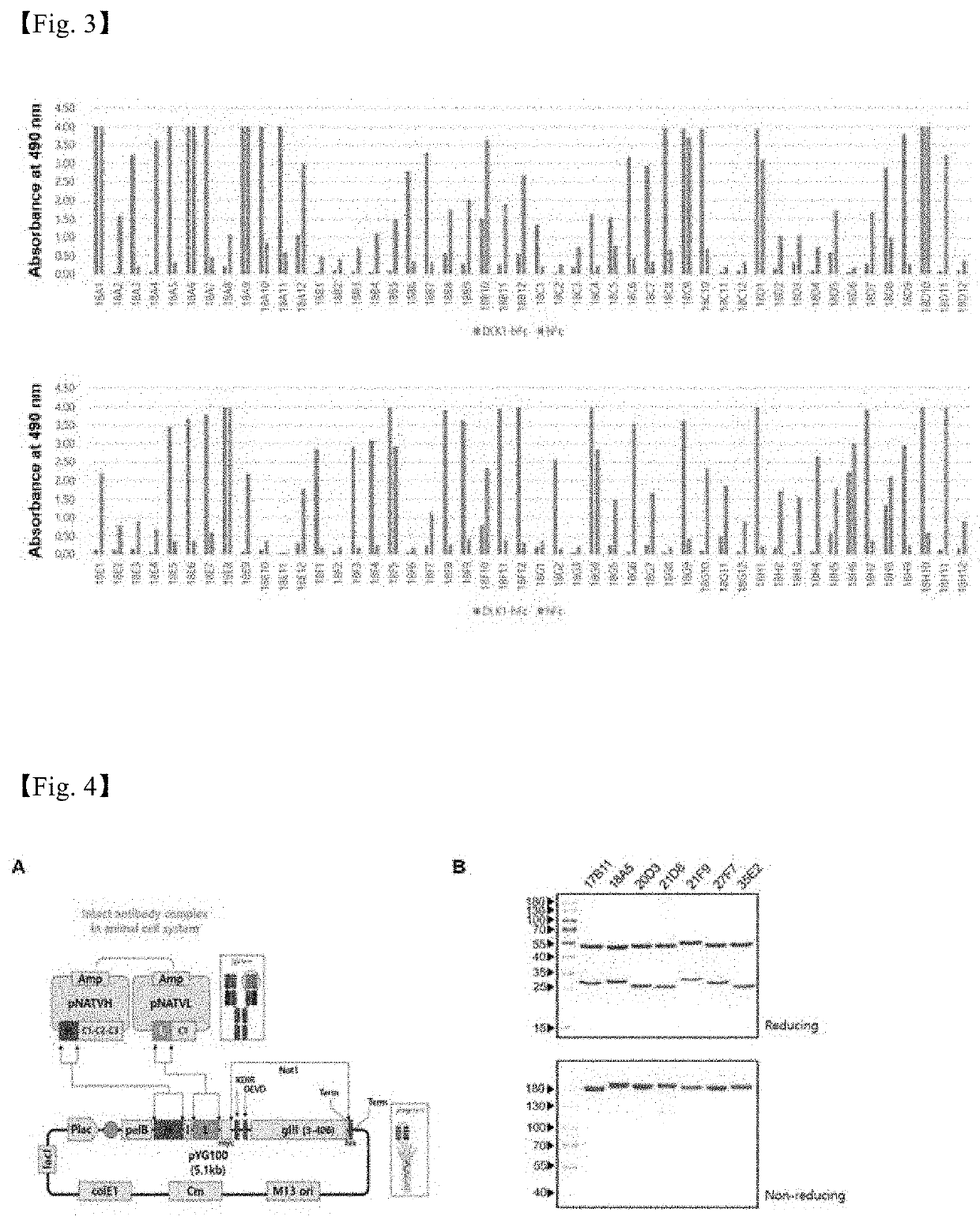 Antibody Against Human DLK1 and Use Thereof