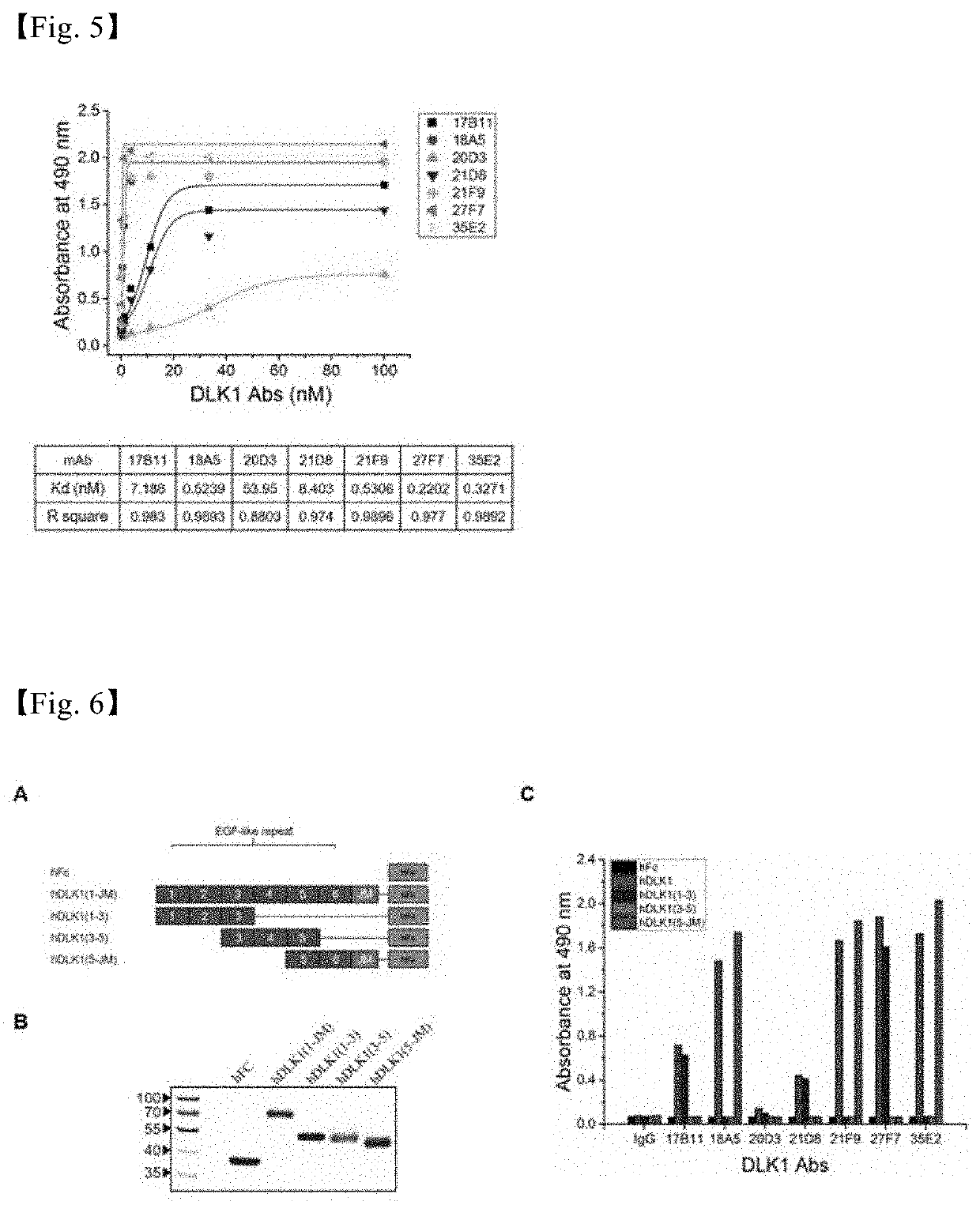 Antibody Against Human DLK1 and Use Thereof